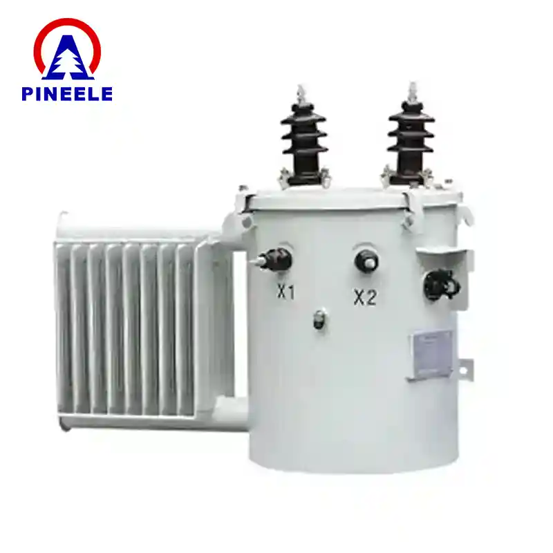 Oil-immersed 1MW transformer undergoing factory testing